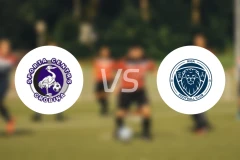 格洛比纳vs里加FC比分预测【2025/11/02】