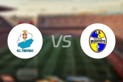 特雷维索vs布鲁萨波尔托比分预测【2024/09/08】