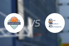 帕尔默vs卡塔赫纳比分预测【2025/12/15】