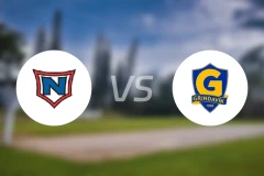 拿尔维克vs格林达维克比分预测【2026/01/05】