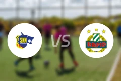 圣珀尔滕vs维也纳快速比分预测【2025/10/30】