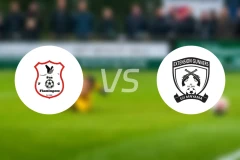 苏阿火烈鸟vs伊特斯逊比分预测【2026/02/07】