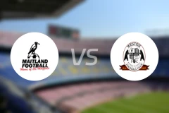 梅特兰vs韦斯顿劳动熊比分预测【2026/02/28】