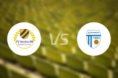 奥地利特特选B队vs舒瓦查特比分预测【2025/11/01】