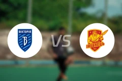 FC维多尼古拉耶夫卡vs伊尼胡列斯比分预测【2025/10/29】