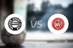 维也纳SCvs维也纳维多利亚比分预测【2026/03/28】