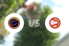 骑士vs老鹰录像回放【2024/11/30】