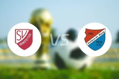 海姆斯特滕vsTSV科特恩比分预测【2026/02/28】