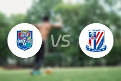 天津津门虎vs上海申花比分预测【2025/11/22】