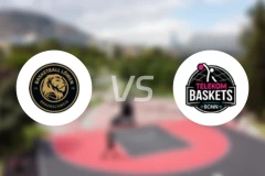 布伦瑞克vs特力康比分预测【2025/11/23】