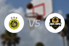 法尔科vs特里弗索波特比分预测【2026/02/12】