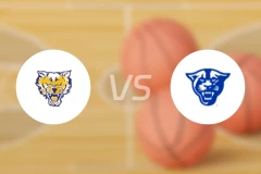福特谷州立大学vs佐治亚州立比分预测【2025/11/14】