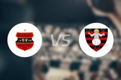 捍卫者vs辛特罗尼克比分预测【2024/10/22】