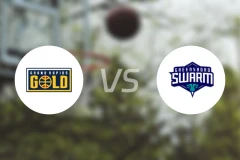 大急流城黄金vs格林斯伯勒蜂群比分预测【2025/12/20】