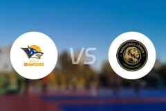 罗斯托克vs布伦瑞克比分结果战报【2026/04/02】