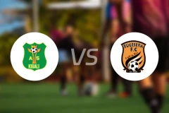 基加利vs布格塞拉比分预测【2025/12/19】