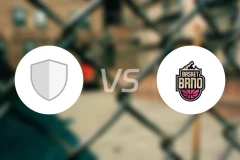 斯维塔维vs布尔诺比分预测【2025/12/18】