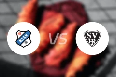 奈德弗vs瑞林根比分预测【2025/11/16】