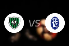 圣约翰vsFC卢斯特瑙比分预测【2025/11/15】