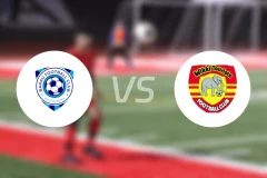 巴拉乌vs维克吉比分预测【2025/11/02】