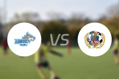 乌尔姆岛vs查拿米体育比分预测【2026/01/25】