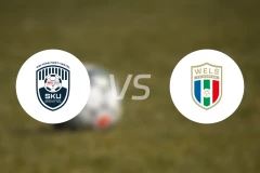 阿姆斯特顿vs赫塔韦尔斯比分预测【2026/02/22】