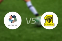 新未来城体育vs吉达联合比分预测【2025/12/31】