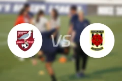 史卡保罗夫vs切奥尔雷比分预测【2026/03/28】