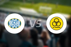 埃斯比约vs霍森斯比分预测【2026/02/28】