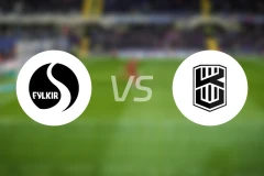 费基尔vs维斯土贝尔比分预测【2026/03/27】