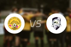 姆贝亚市vs多多玛吉吉FC比分预测【2026/02/03】