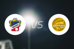 伊拉普阿托vs黄金河虎比分预测【2026/02/14】