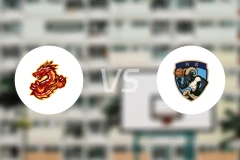 贵州猛龙vs张家口体文旅录像回放【2026/02/24】