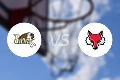 锡耶纳学院vs毛利斯特大学比分预测【2026/02/16】