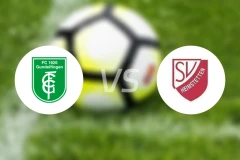 贡德尔芬根vs海姆斯特滕比分预测【2026/03/07】