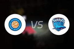 罗阿讷vs昂蒂布比分预测【2025/11/15】