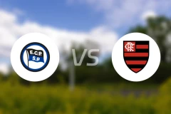 皮涅鲁斯vs弗拉门戈比分预测【2025/12/04】