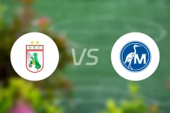 索萨PBvs马瓜里比分预测【2026/04/13】