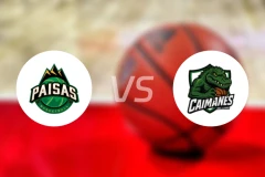 派萨人vs平原凯门鳄比分预测【2026/01/28】