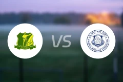 夏尔内塞拉莱西vs埃塞俄比亚保险比分预测【2026/01/30】