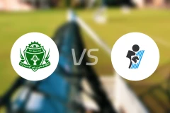 阿拉克铝业vs佩坎比分预测【2026/02/20】