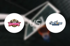 秋田北部喜悦vs三河海马比分预测【2025/12/13】