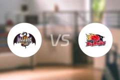 山形飞龙vs岩手大公牛比分预测【2026/01/24】