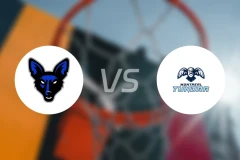 詹姆斯敦豺狼vs蒙特利尔苔原比分预测【2026/01/18】