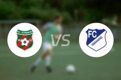 施瓦伊格vs艾斯曼尼比分预测【2025/11/29】