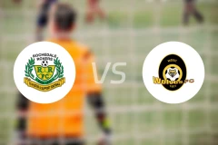 罗切达尔流浪vs布里斯班狼队比分预测【2026/02/21】