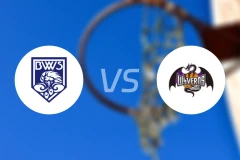 福井吹风vs山形飞龙比分结果战报【2026/04/04】