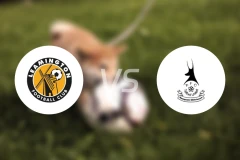 雷明顿vs泰福特比分预测【2025/12/10】