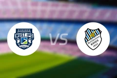 澳科精英vs炮兵比分预测【2026/03/08】