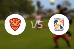 FC琉球冲绳vs宫崎棒牛鸟比分结果战报【2026/02/28】